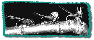 May Fly Hooks