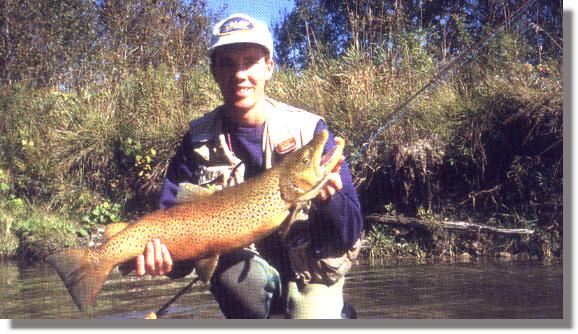 A Fine Migratory Brown From the Ganaraska River, Glen Hales Photo