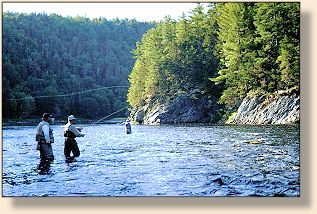 Fishing the run