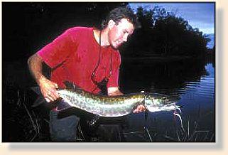 A fly-rod handful