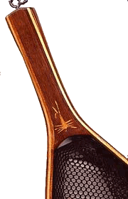 Net Close-up