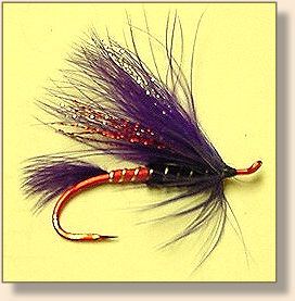 Purple Austrian