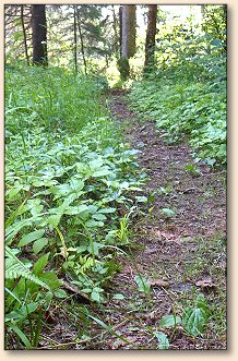 River path