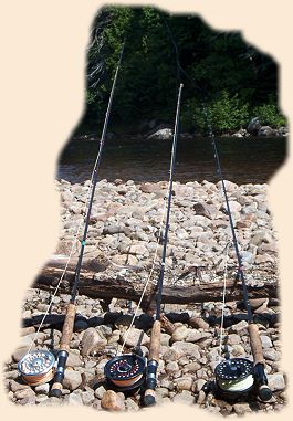 Rods at rest