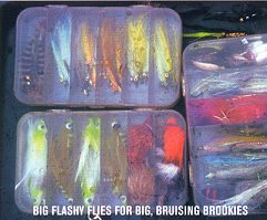 Big Flies for Big Fish!