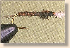 Brown Pheasant Chironomid