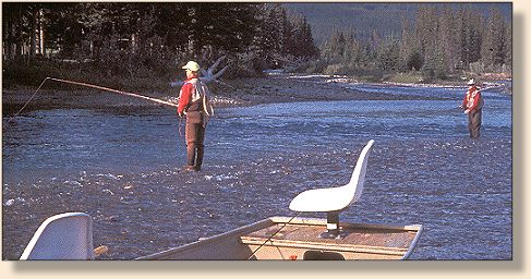 The Upper Bow River
