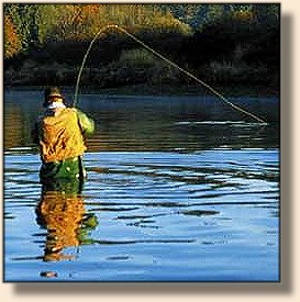 Fish On!