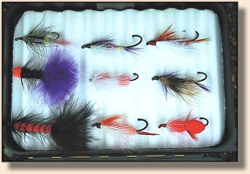 Steelhead and Chum Flies