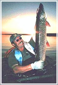 Author Clive