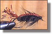 Wiggler, Glen Hales photo