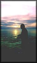 Tarpon Sunrise