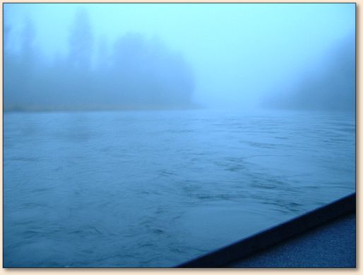 Morning Fog