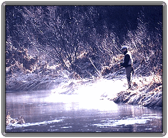 Jason Bick-Spring Creek