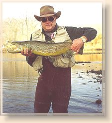 Little Red Brown Trout