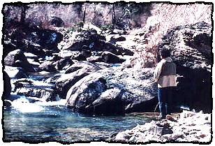 Concentrate on the Pools