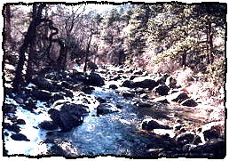 See what you're missing?