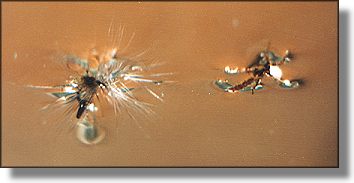 Two outside of the window