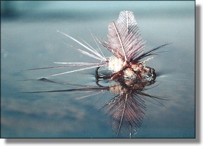 My first attempt at Vince's fly