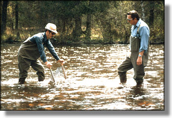 Neil Travis and me collecting nymphs
