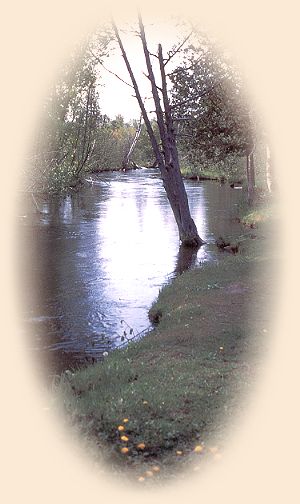 Pastoral AuSable Scene