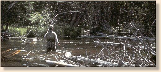 Tight loops on the Holy Water