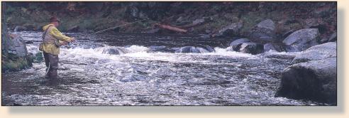 West Branch in Autumn