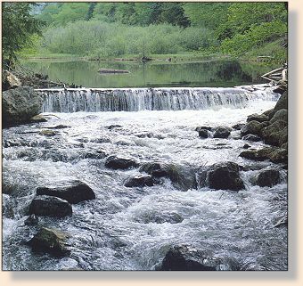 Upper East Branch at Beaver Meadow