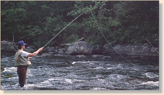 Blane Holtz nymphing pocket water