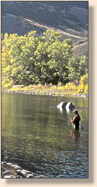 Fall on the Big Horn