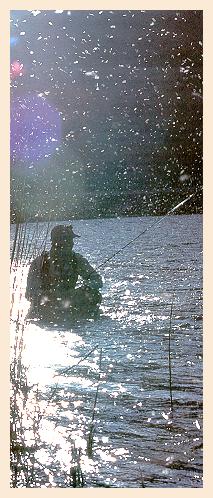 Blanket Caddis Hatch