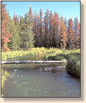 Deschutes Headwaters