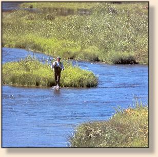 Above Wickiup Reservior