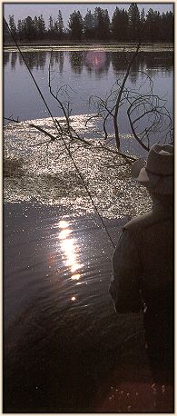 Mike Lawson scanning the Ranch for risers