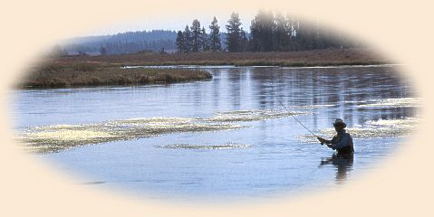 Mike Lawson on the Harriman Ranch section