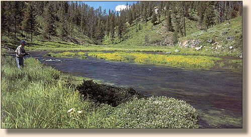 Frank Amato fishing near Warm River Spring