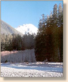 Mt. Tom and the Hoh as seen from the
Hoe River Trail