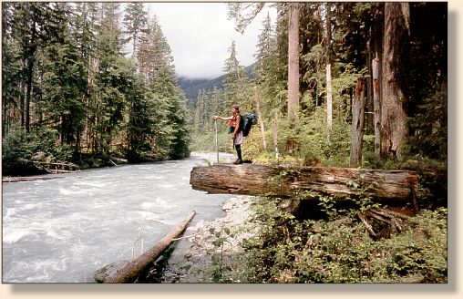Upper Hoh River along the Hoh River Trail,
 15 miles in