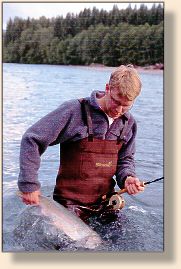 Tim Mondale tailing a steelhead from the Upper Hoh