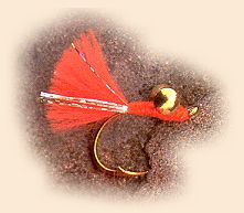 Typical local yarn fly