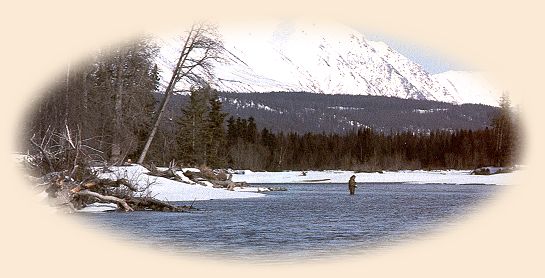 Fishing for Dollies in April