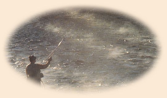 Mist from hot spring, early morning