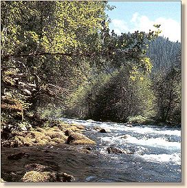 Spring on the McKenzie