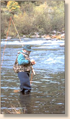 Author below Leaburg Dam