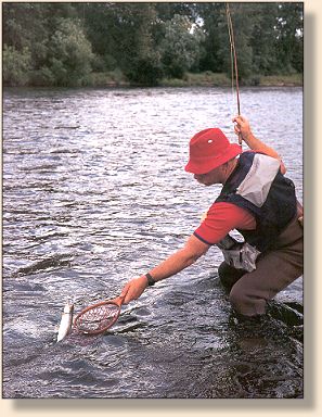 Summer on the McKenzie