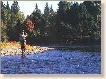 Brian Roadhouse fights salmon on the Dungarvon