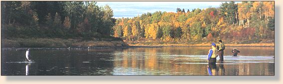 Note leaping salmon on left