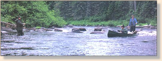 Poling through a 'Louie' on the Main Southwest Miramichi