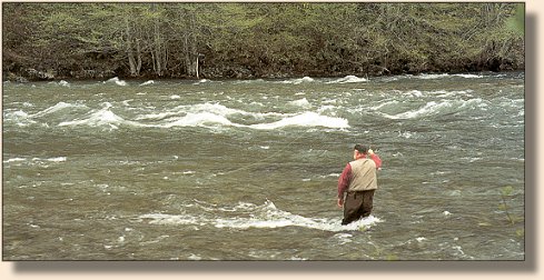 Camp Water in high water