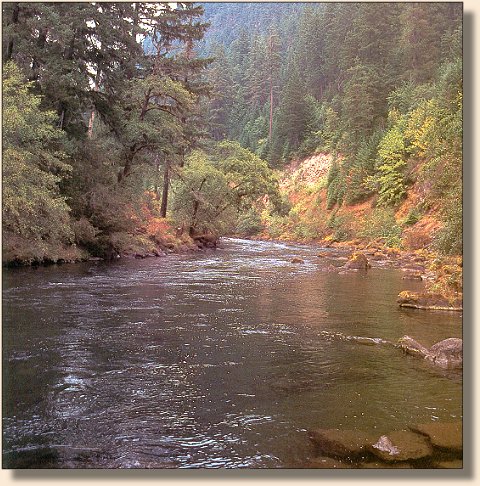 North Umpqua in Summer